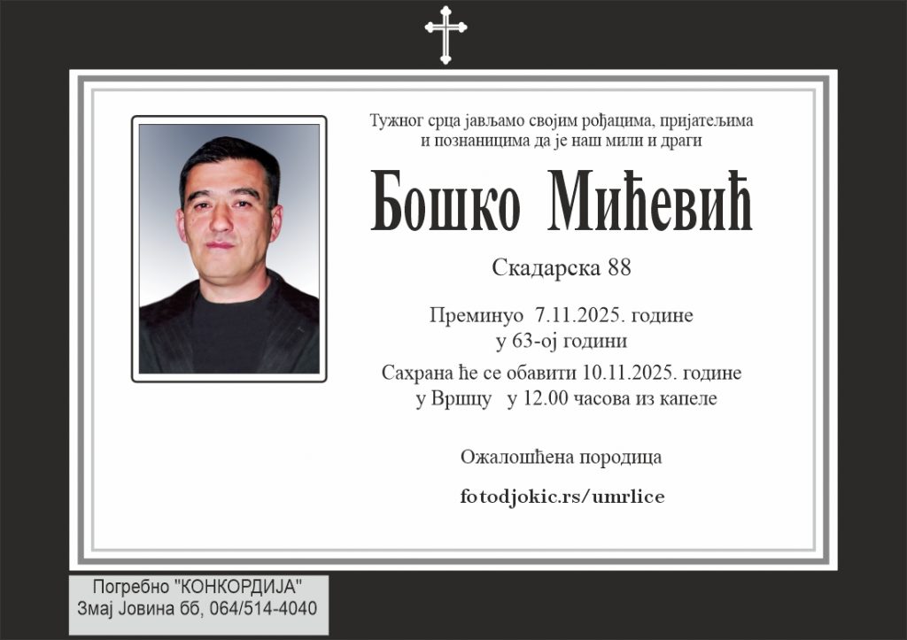 Chiroyli tukli mushukning fotosurati